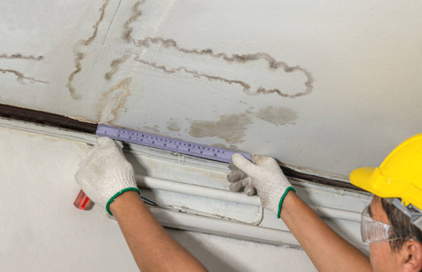 Reliable Sewage Cleanup contractor in Randolph, NH by Water Damage Irwin